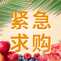 訂購一次性水果簽、水果叉