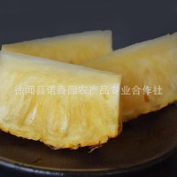 徐聞金鉆鳳梨臺農(nóng)17鳳梨 現(xiàn)摘現(xiàn)賣6—10斤（2-3個(gè)果）