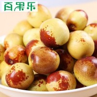 【產地直供】陜西大荔冬棗2/3/4斤包郵 現(xiàn)摘新鮮水果脆甜冬棗子