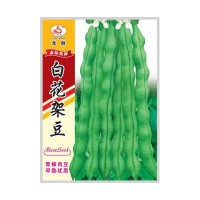 重慶本地受歡迎的四季豆品種，好吃好賣不易老化帶小時候的清香味