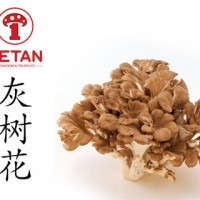 DETAN德添舞茸 新鮮灰樹花 購買請電話聯(lián)系，否則不發(fā)貨