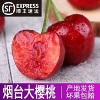 山東煙臺(tái)大櫻桃應(yīng)季新鮮孕婦水果車(chē)?yán)遄游褰锩涝鐧烟艺渑l(fā)代發(fā)