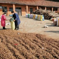 廠家批發(fā)湖北隨州油茶籽殼、茶粕、現(xiàn)貨量大從優(yōu)
