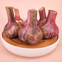 山東大蒜一件代發(fā) 干蒜，大干蒜 專業(yè)倉儲 ERP對接 5斤裝