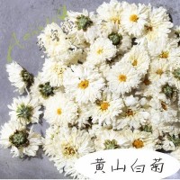 黃山白菊花貢菊散裝花品質太陽菊安徽花茶泡水花草茶大貨批發(fā)