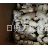 生產(chǎn)工廠供應(yīng)出口生姜，風(fēng)干姜，保鮮姜。