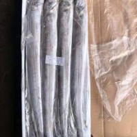 東山海釣大帶魚(yú)，野生釣帶，一件20斤，10公斤