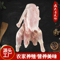 農(nóng)家養(yǎng)殖新鮮無(wú)頭去皮鵝 鐵鍋燉大鵝下酒菜 朗德鵝鵝制品生產(chǎn)廠(chǎng)家