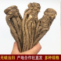岷縣無(wú)硫當(dāng)歸條批發(fā)價(jià)甘肅產(chǎn)地直供中藥材全當(dāng)歸個(gè)子可切當(dāng)歸頭片