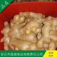 出口歐美、加拿大、荷蘭、英國級保鮮姜、風干姜（價格面議）