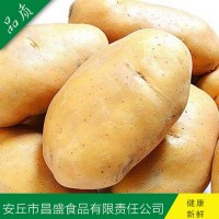 供應(yīng)出口中東、東南亞級保鮮荷蘭7號、15號（價格面議）