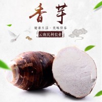 現挖現發(fā)云南牛奶芋頭新鮮蔬菜小芋頭農家自種毛芋頭散裝香芋艿（價格面議）