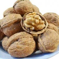 新貨上市，常年供應(yīng)核桃，質(zhì)量保證 價(jià)格優(yōu)惠