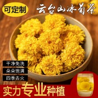 河南焦作菊花冰菊花茶韻級游懷菊花念云臺(tái)山青特禮盒露馳菊靈 2盒起批