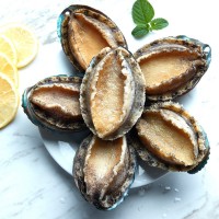 閩正煮凍鮑魚4頭-32頭鮑魚OEM、ODM定制生產(chǎn)來料加工海鮮水產(chǎn)凍品  2斤起批