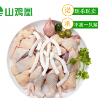 【山雞凰】文昌雞海南農家散養(yǎng)180天走地土雞椰子雞新鮮整只雞肉  2只起批