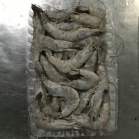 加工南美白對(duì)蝦，冷凍南美白對(duì)蝦，唐山南美白對(duì)蝦，天津南美蝦