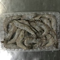 冷凍南美白對(duì)蝦，加工南美白對(duì)蝦，河北南美白對(duì)蝦，唐山南美對(duì)蝦