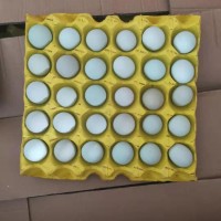 精品小綠殼蛋，凈重30-35斤，日撿日發(fā)