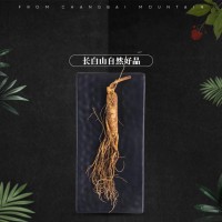 東北特產新鮮人參500g 長白山帶土人參滋補泡酒廠家批發(fā)