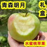 青森明月蘋果水蜜桃蘋果脆甜新鮮水果包郵5斤煙臺(tái)寶山明月禮盒  3件起批