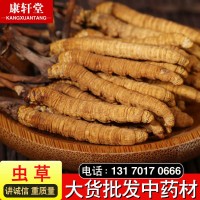 冬蟲夏草西藏那曲土特產(chǎn)冬蟲草散裝批發(fā)無(wú)斷草產(chǎn)地直供量大從優(yōu)
