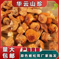 云南產地姬松茸長腿短腿蘑菇 酒店煲湯食用菌干貨500g散裝批發(fā) 2件起批