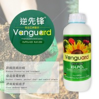 全水溶葉面肥亞磷酸鉀 高磷高鉀水溶肥 膨果?；ū９厣铱赝柿? onmouseover=