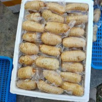 鮮天麻真空保鮮天麻一個一袋，酒店冰鎮(zhèn)天麻片，天麻食材長年供應