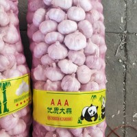 大蒜公司，源頭工廠供應(yīng)金鄉(xiāng)出口大蒜，超市大蒜